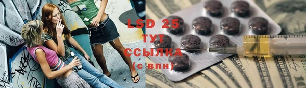 стаф Алексин