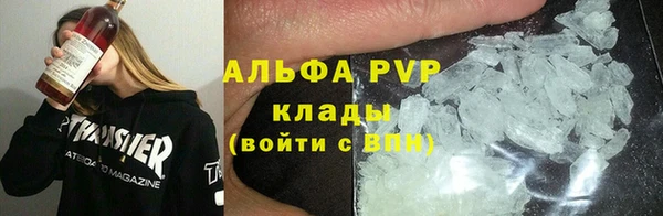 стаф Алексин