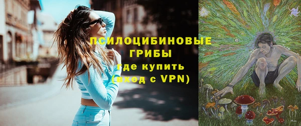 стаф Алексин
