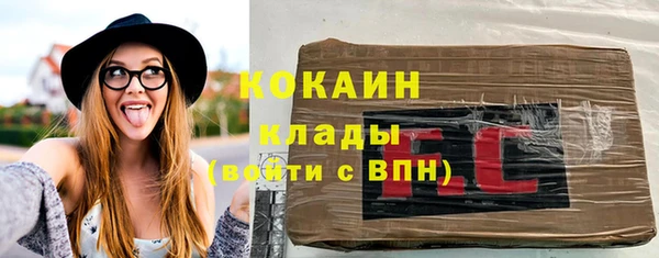 стаф Алексин
