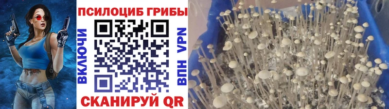 цены   МЕГА ссылка  Галлюциногенные грибы мухоморы  Пермь 